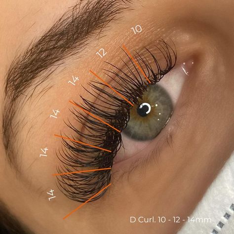 Classic Lash Map Eyelash Extensions Map Eyelash Extensions, Classic Lash Map, Lashes Ideas, Eyelash Extensions Classic, Extensions Lashes, Lash Map, Lash Extentions, Best Lash Extensions, Lashes Tutorial