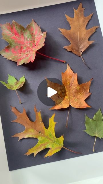 Mandisa Watts on Instagram: "LEAF RESIST ART • Leaves  • Acrylic paint  • Black construction paper • Painters tape AGE: 2 years old +  MESS Level: medium  DIFFICULTY TO CREATE: easy SKILLS DEVELOPED: hand-eye coordination, fine motor skills, imaginative play, creativity. _____________ PLaY 🌈CReaTivEly #happytoddlerplaytime" Easy Art On Black Paper, Fine Motor Skills Activities For Toddlers, Leaf Printing For Kids, Paper Collage Art Ideas Easy, Leaf Painting For Kids, Construction Paper Leaves, Leaves Painting Acrylic Leaf Art, Leaf Rubbing Art, Leaf Art Projects For Kids