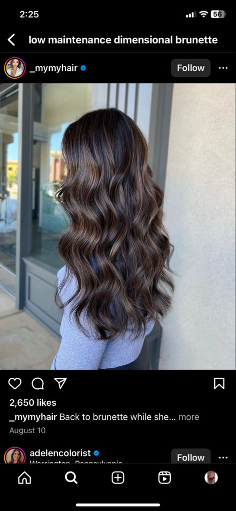 Lowlights On Brunette Hair, Spring Hair Ideas For Brunettes, Low Maintenance Dimensional Brunette, Spring Hair For Brunettes, Low Maintenance Highlights Brunettes, Spring Hair Color Ideas For Brunettes, Brunette 2024, Subtle Dimensional Brunette, Low Maintenance Brunette Hair Color