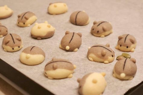 Japanese Bakery, Japanese Cookies, Kawaii Cooking, Cute Baking, Japanese Dessert, Kawaii Food, Cute Cookies, Cute Desserts, Shaped Cookie