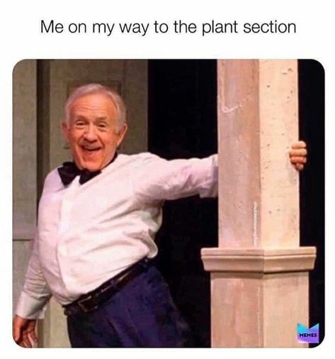 21 Relatable Memes For Plant Lovers - Memebase - Funny Memes Plant Jokes, Gardening Memes, Tron Legacy, Gardening Humor, Memes Br, Daft Punk, Plant Mom, Plant Lady, Plant Lover