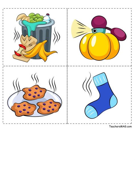 Five Senses Sorting Activity for Preschool, Pre-K, and Kindergarten Students | TeachersMag.com Senses Sorting Activity, Five Senses Preschool, 5 Senses Activities, Senses Preschool, Body Preschool, Body Parts Preschool, Activity For Preschool, Shapes Kindergarten, Senses Activities