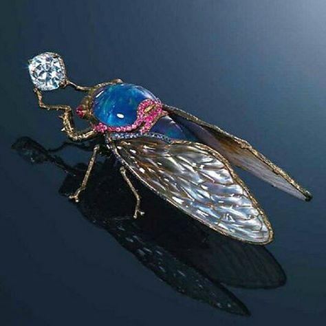 Multi-gem brooch by Wallace Chan, designed as a cicada holding a cushion shaped diamond, the head and body set with black opal and lapis lazuli with carved amethysts atop, cabochon ruby eyes, pink sapphire detail, grey crystal and mother of pearl wings with titanium veins. Cicada Brooch, Wallace Chan, Random Jewelry, Cabochon Ruby, Whimsical Jewelry, Beautiful Bugs, Insect Jewelry, Creature Comforts, Black Opal