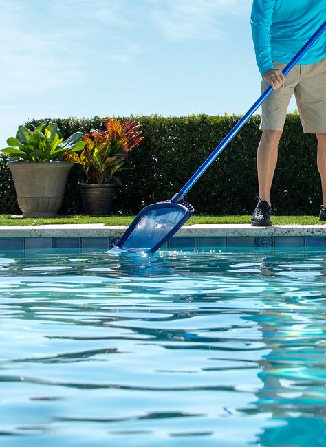 Find the right tools for your swimming pool care. Pool Cleaning Tips, Pool Nets, Pool Skimmers, Danny Ocean, Pool Life, Pool Care, Pool Chlorine, Pool Maintenance, Pool Cleaning