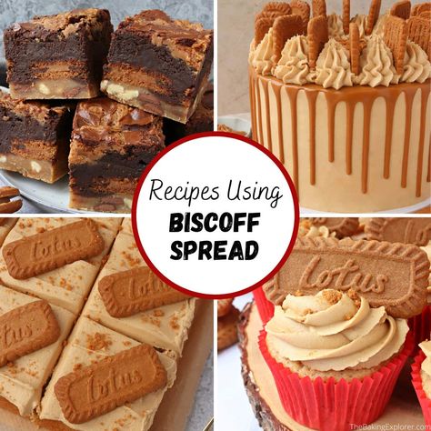 A collection of delicious recipes using Biscoff Spread! Includes everything from easy no bake treats to showstopping cakes! #thebakingexplorer #biscoff #lotusbiscoffspread #cookiebutter #lotusbiscoff Biscoff Spread Recipes, Easy No Bake Treats, Traybake Cake, Biscoff Cupcakes, Dairy Free Cupcakes, Lotus Biscoff Spread, Biscoff Recipes, Biscoff Cake, White Chocolate Blondies