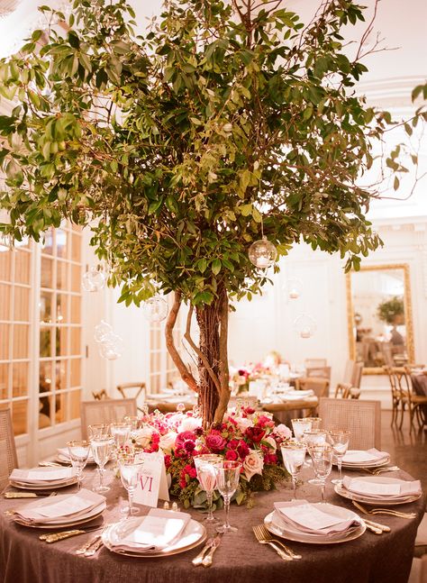 Whimsical Garden-Inspired Tree Centerpieces Geometric Terrarium Centerpiece, Tree Centerpieces Wedding, Tree Centrepiece Wedding, Rosemary Tree, Gala Decor, Rose Centerpieces Wedding, Tree Wedding Centerpieces, Wedding Tree Decorations, Outdoor Tent Wedding