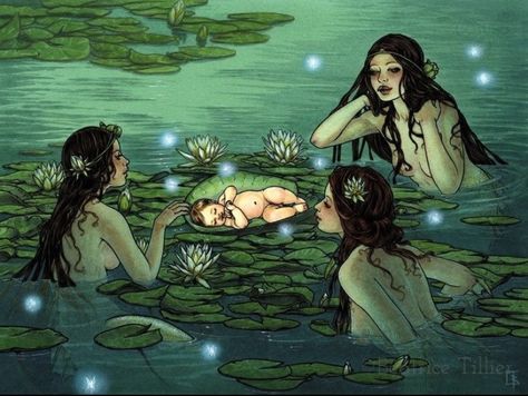 . Art Coquillage, Arte Peculiar, Mermaids And Mermen, Arte Inspo, Fairytale Art, Dessin Adorable, Mystical Creatures, Mermaid Art, Ethereal Art