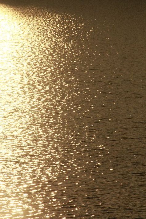 Golden sunset... Golden Lake, Gold Aesthetic, Art Texture, Art Gold, Shades Of Gold, Photography Design, Design Art, The Sun, Champagne