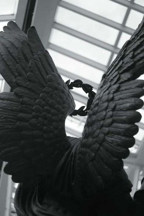 Black wings aesthetic yo Wings Aesthetic, Shingeki No Bahamut, Angel Sculpture, Angel Aesthetic, Black Angels, Black Wings, Crescent City, Visual Diary, Angels And Demons