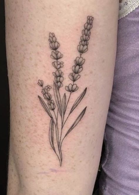 Custom lavender tattoo done by @ipektattoo of @fleurnoiretattoo in Brooklyn.    #fleurnoiretattoo #tattoo #lavender #lavendartattoo #delicatetattoo #abstracttattoo #detailedtattoo #inspiration #inspirationtattoo #nyc #nyctattoo #newyorkcity #linetattoo #brooklyn #williamsburg #bushwick #madeinbrooklyn #nyctattoo #williamsburgtattoo #brooklyntattoo #minimal #minimalism #minimaltattoo Black Lavender Tattoo, Lavender Tattoo Black, Lavender Tattoo Design, Tattoo Lavender, Brooklyn Williamsburg, Brooklyn Tattoo, Nyc Tattoo, Lavender Tattoo, Tattoo Board