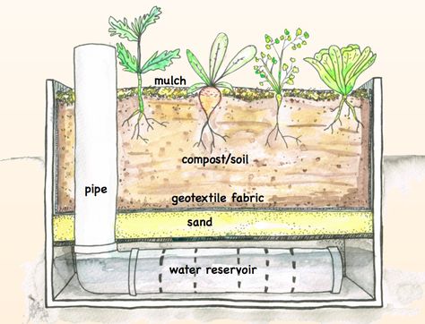 Wicking Garden Bed, Garden Watering System, Dig Gardens, Vegetable Garden Planning, Diy Raised Garden, Water Reservoir, Home Vegetable Garden, Garden Art Projects, Water Wise