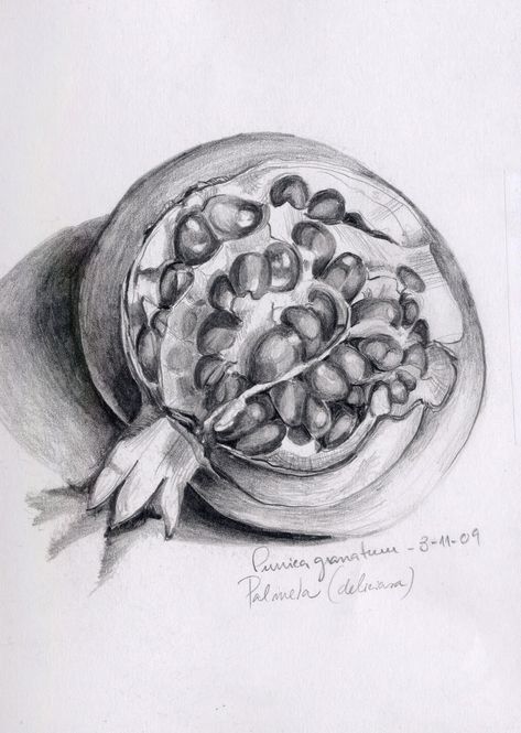 Pomegranate Images, Pomegranate Drawing, Still Life Sketch, Gcse Art Sketchbook, Still Life Fruit, Still Life Drawing, Collage Design, Chiaroscuro, Natural Forms