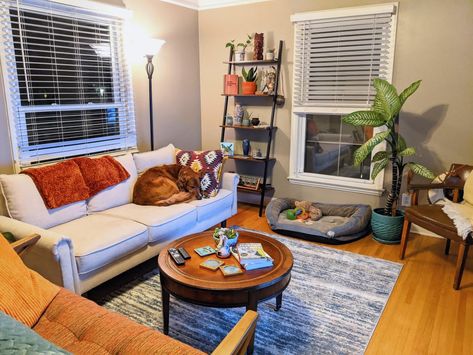 Dog Friendly Living Room Ideas, Guys Apartment Decor, Male Living Room, Mens Apartment Decor, Male Bedroom Ideas, Guy Rooms, Guy Room, Alice Hoffman, Living Room Goals