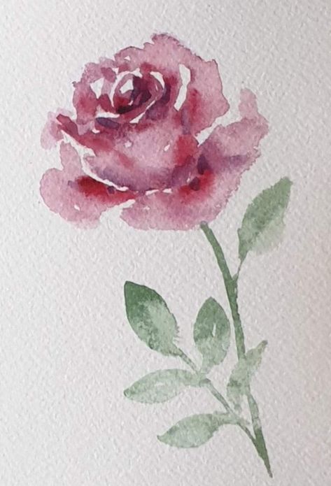 Simple Rose Watercolor, Rose Drawing Watercolor, Rose Painting Simple, Rose Watercolour, Roses Watercolor, Rose Watercolor Painting, Watercolour Roses, Rose Watercolor, Watercolor Roses