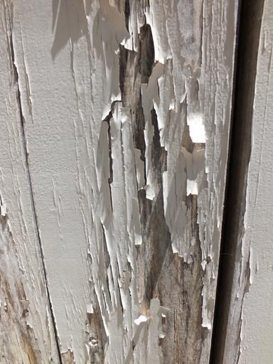 Peeling or alligatoring paint problems: How to fix them Exterior Wood Trim, Window Restoration, Scrape Painting, Cracked Paint, Paint Repair, House Trim, Fence Paint, Peeling Paint, Outdoor Paint