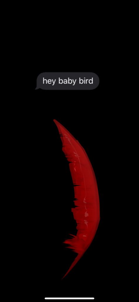 Red feather on black background with text saying “Hey Baby Bird” Keigo Takami Hawks Wallpaper, Hawks Aesthetic Wallpaper, Hawks Background, Hawks Mha Wallpaper Aesthetic, Mha Wallpaper Hawks, Hawks Sensitive Wings, Dabihawks Wallpaper, Hawks Aesthetic Mha, Hawks Astethic