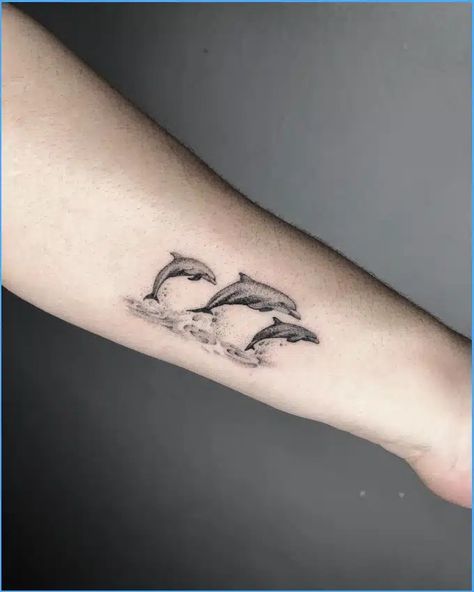 Dolphin Tattoo Meaning, Sand Dollar Tattoo, Stingray Tattoo, Dolphin Photos, Dolphins Tattoo, Small Tats, Ocean Tattoos, Modern Tattoos, Dainty Tattoos