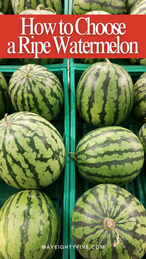 Ensure your watermelon is ripe and delicious! Check out these methods to pick the best watermelon every time. 🍉🌞 #WatermelonTips #SummerFruit #FruitPicking #FruitLovers #RipeWatermelon Watermelon Ripeness, Best Watermelon, Ripe Watermelon, Juicy Watermelon, Fruit Picking, Summer Fruit, To Tell, Watermelon, Easy Meals