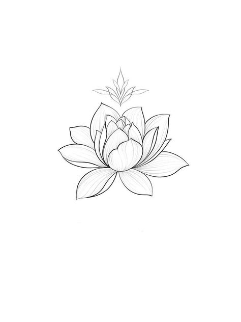 Simple Lotus Flower Tattoo, Simple Lotus Tattoo, Lotusblume Tattoo, Small Lotus Flower Tattoo, Small Lotus Tattoo, Lotus Tattoos, Water Lily Tattoos, Lillies Tattoo, Lily Tattoo Design