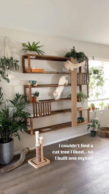 Diy Cat Shelves, Katt Diy, Cat Tree Designs, Cool Cat Trees, Cat Patio, Cat Wall Shelves, Diy Cat Tree, Cat Wall Furniture, Cat Crazy