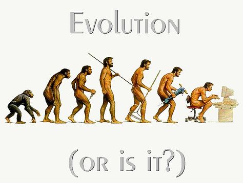 Evolution Cartoon, Evolution Of Man, Satirical Illustrations, Surya Namaskar, Human Evolution, Back Muscles, Iron On Transfer, Back Pain, Internet Marketing