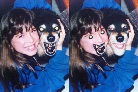 A girl and a dog: | The 35 Most Disturbing Face Swaps Of All Time Face Swap Fails, Funny Face Swap, Funny Animal Faces, Image Meme, Face Swaps, Joke Of The Day, 웃긴 사진, Memes Humor, Disney Memes