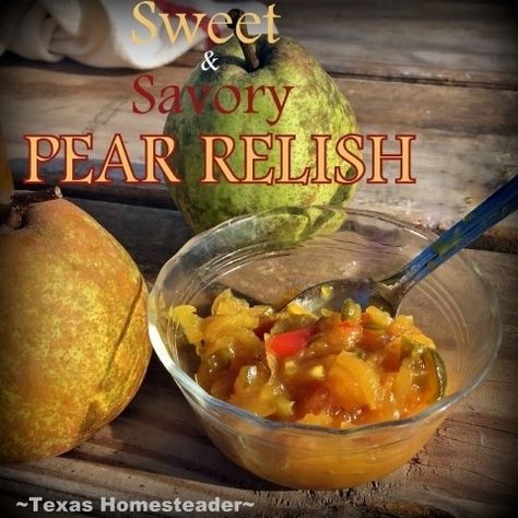 Pear Jelly Recipes, Pear Relish, Canning Pears, Pear Preserves, Pear Sauce, Magic Check, Texas Garden, Relish Recipe, Relish Recipes