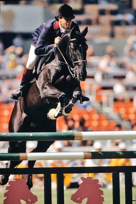 Pierre Durand on Jappeloup (France) 🥇 Individual jumping 🥉 Team jumping • Seoul 1988 Olympics #equestrian Equestrian Olympics, Horse Paintings, Cute Horse Pictures, Cute Horses, Reference Poses, Action Poses, Summer Olympics, Horse Pictures, Horse Painting