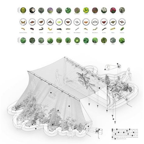 Hidden in Plain Sight — NEREA FELIZ University At Buffalo, Urban Rooms, Moth Species, Insect Species, Humans And Animals, Hidden In Plain Sight, Urban Interiors, School Of Architecture, Digital Fabrication