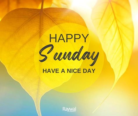 Happy Sunday 🌞  #HappySunday #raywal #raywalcabinets #canadianmade #cabinets Happy Sunday Images, Happy Sunday Morning, Sunday Greetings, Sunday Wishes, Sunday Images, Happy Weekend Quotes, Good Night Flowers, Good Morning Flowers Quotes, Good Morning Roses