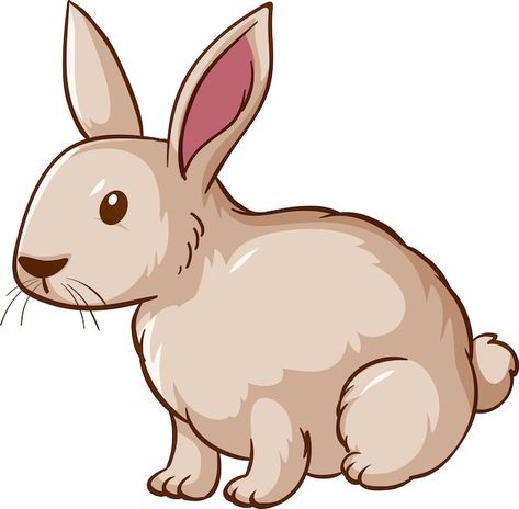 White Rabbit Cartoon, Zoo Cartoon, Zoo Clipart, Pooh Drawing, Rabbit Image, Winnie The Pooh Drawing, Rabbit Artwork, Rabbit Clipart, All About Rabbits