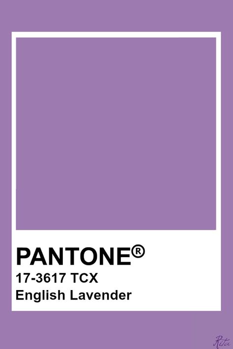 Pantone English Lavender Lavender Color Palette, Pantone Tcx, Pantone Color Chart, Pantone Swatches, Pantone Palette, Pantone Colour Palettes, The Color Purple, English Lavender, Colour Board