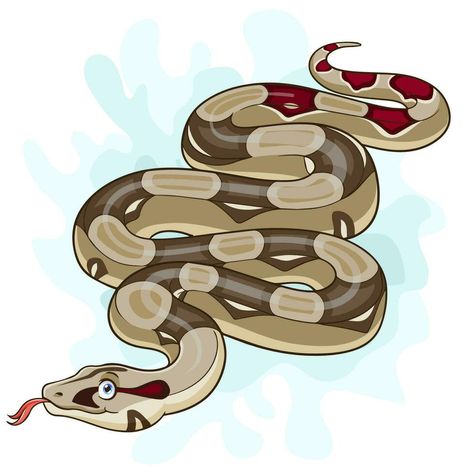 Cartoon Boa constrictor snake isolated on white background Snake Clipart, Cartoon Snake, Snake Cartoon, Red Tail Boa, Boa Constrictor, Anaconda, Heart Tree, Cityscape Photos, Body Inspiration