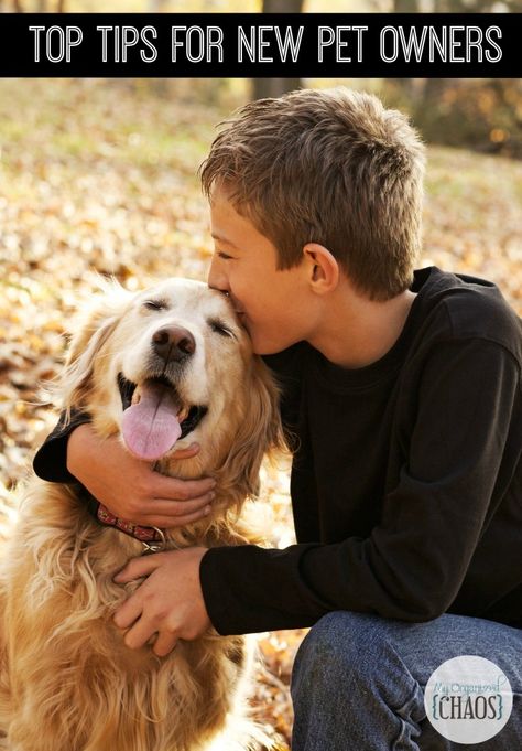 Top Tips for New Pet Owners. Welcoming a new pet to the family is exciting. By following these tips, you can help keep your pet safe and healthy. Mercy For Animals, Living With Dogs, Dog Health Tips, Dog Health Care, Dog Care Tips, Friendly Reminder, Dogs Golden Retriever, Portrait Ideas, Dog Photography