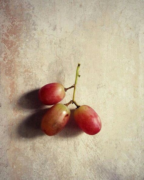 . Simple Still Life Photography, Still Life Simple, Grapes Still Life, Simple Still Life, Fruit Paintings, Nature Reference, Life Reference, Photography Simple, Vegetables Photography