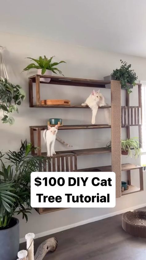 Materials & tools listed below ⬇️ Save this post for later! 1. RYOBI 18V Cordless Orbital Jig Saw - $40 2. Power Drill - $40 3. 1 in. X… | Instagram Mounted Cat Tree, Functional Cat Decor, Cat Tree Built Into Wall, Cat Obstacle Course On Wall, Wall Cat Shelves Diy, Diy Cat Tree On Wall, Pegboard Cat Wall, Cat Wall With Plants, Wall Mount Cat Tree