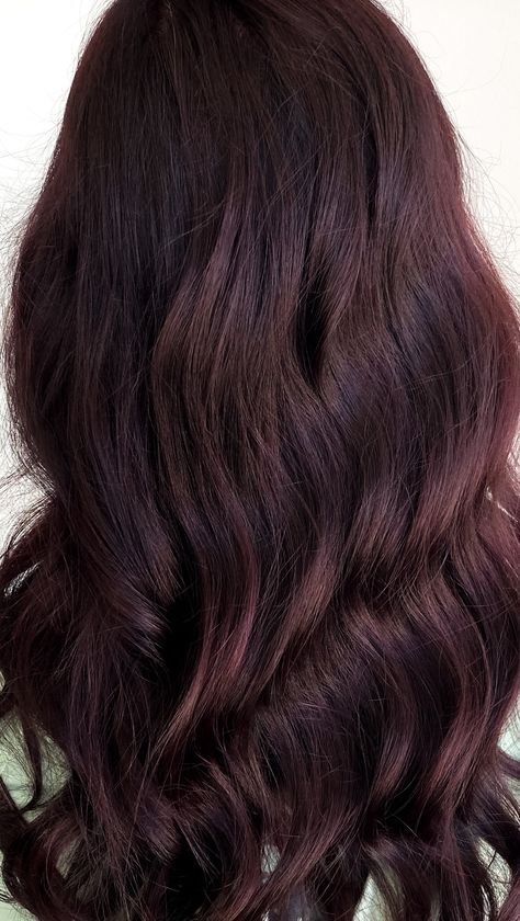 Brunette Mahogany Hair, Deep Cherry Hair, Mahagony Hair Color Brown, Raspberry Brown Hair, Cherry Ombre Hair, Cherry Black Hair Color Dark Brown, Midnight Red Hair, Deep Cherry Brown Hair, Chocolate Cherry Hair Color Dark Brown