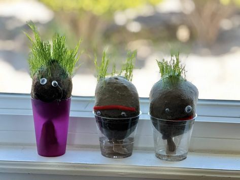 Dirt Babies - Fun Springtime Craft for Kids - Most Delicious Dirt Babies Craft, Dirt Babies, Cabbage Salsa, Market Crafts, Babysitting Ideas, Gardening Club, Springtime Crafts, Earth Week, Gluten Free Meal Plan