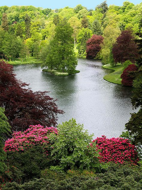 Stouhead House Lake, Wiltshire - England Wiltshire England, House Lake, Trees And Flowers, Places Around The World, Amazing Nature, Wonderful Places, Beautiful Views, Beautiful World, Beautiful Landscapes