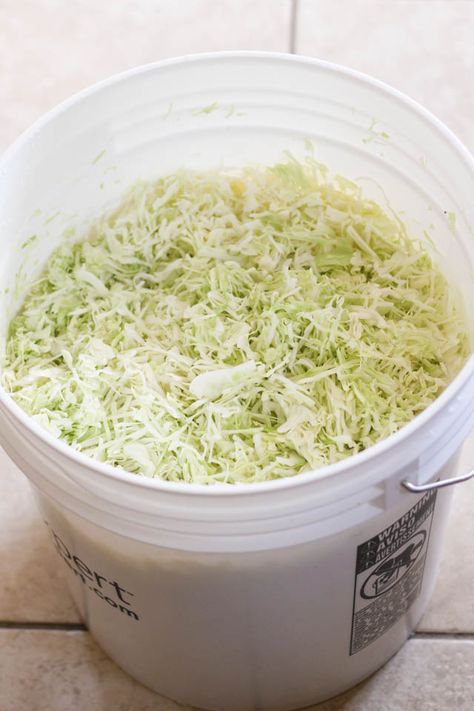 Canning Sour Kraut Water Bath, Homemade Sourkraut, Sourkrout Recipes, Canning Sauerkraut, Sourcrout Recipes, Fermented Vegetables Recipes, Pickled Vegetables Recipe, Making Sauerkraut, Fermented Sauerkraut