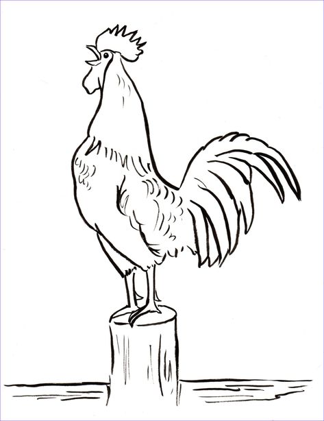 Rooster Coloring Page - Art Starts Rooster Coloring Pages, Chicken Coloring Pages, Cartoon Rooster, Chicken Coloring, Chicken Drawing, Rooster Painting, Chicken Painting, Rooster Art, Projets Cricut