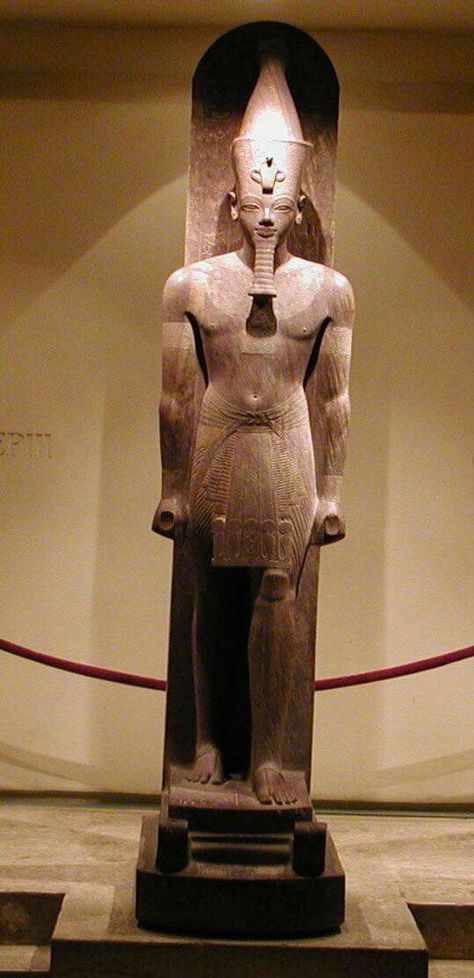 Luxor Museum, Nubian Culture, Egypt Statue, Queen Tiye, Ptolemaic Egypt, Egyptian Civilization, Amenhotep Iii, Egyptian Museum, Egypt History