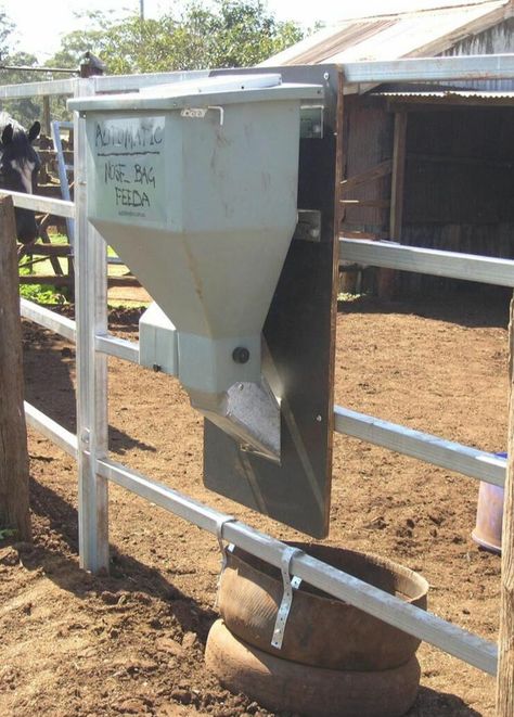 Horse Feeder Diy, Goat Hay Feeder, Hay Feeder For Horses, Gravity Feeder, Goat Feeder, Horse Feeder, Deer Feeders, Horse Hay, Hay Feeder