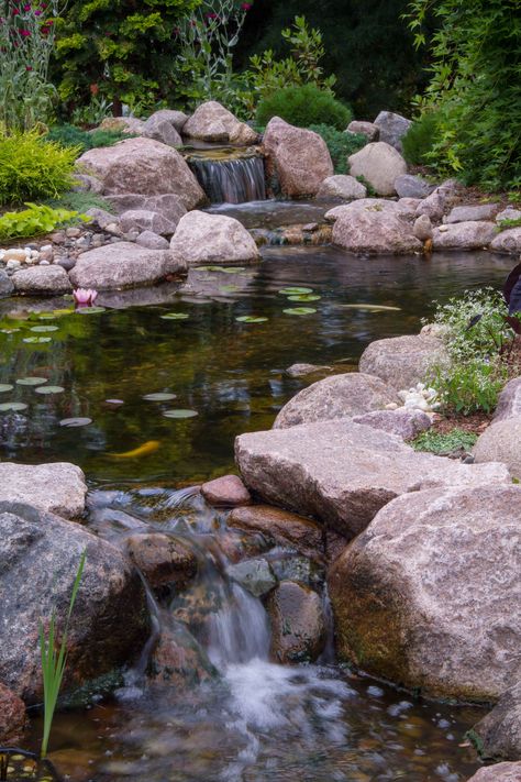 Preformed Pond, Koi Pond Ideas, Pond Decor, Kolam Koi, Bog Plants, Backyard Ponds, Garden Pond Design, Diy Pond, Garden Ponds