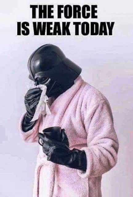 Funny Reaction, Star Wars Humor, Funny Reaction Pictures, Work Humor, The Force, Reaction Pictures, Funny Cute, I Laughed, Best Quotes