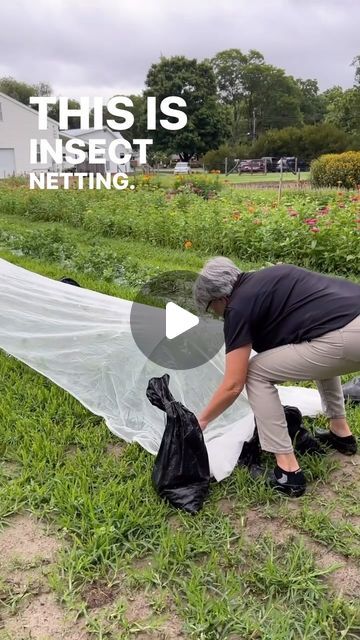 Gardener's Workshop Farm on Instagram: "Using insect netting to block pests access to the plants is a brilliant use. It prevents so many issues.

Comment APP and I’ll DM the link to my garden store. Search “Net” once you get there. 

Or visit: TheGardenersWorkshop.com

I also use as a shade cloth, sun cap, and to block varmints.

#gardenersworkshopfarm" Insect Netting, Sun Cap, Garden Store, Shade Cloth, Flower Farmer, Farmer, Insects, Plants, Instagram