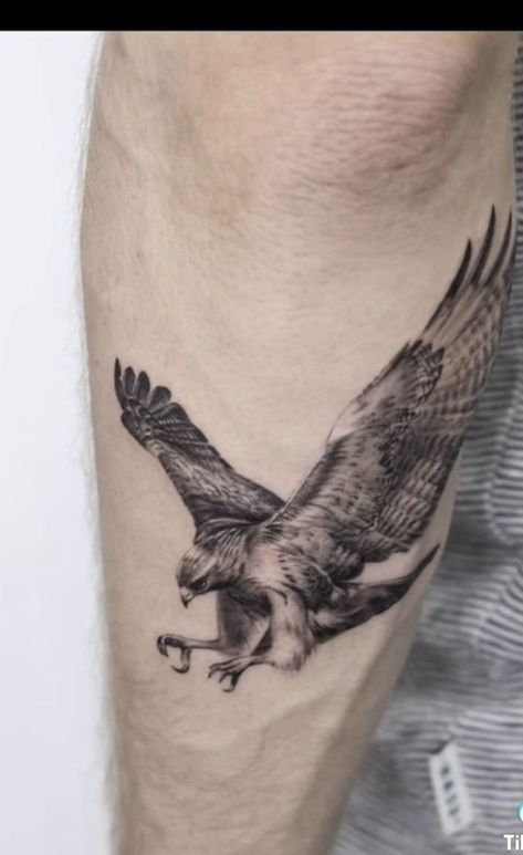 Recycle Tattoo, Falcon Tattoo, Hawk Tattoo, Petit Tattoo, Muster Tattoos, Cool Forearm Tattoos, Inspiration Tattoos, Eagle Tattoos, Geniale Tattoos