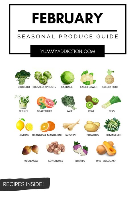 February Fruits And Vegetables, Fruits And Vegetables In Season, Romanesco Recipes, Vegetables In Season, Mandarine Recipes, Season Vegetables, Vegetables List, Seasonal Produce Guide, Parsnip Recipes