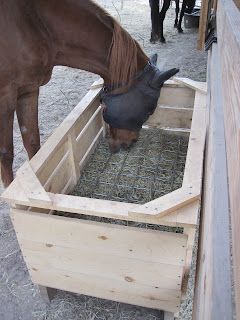 Horse Slow Feeder, Diy Hay Feeder, Hay Feeder For Horses, Horse Feeder, Horse Tack Rooms, Livestock Shelter, Horse Farm Ideas, Horse Paddock, Horse Hay