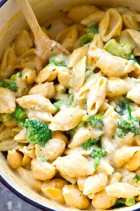 Small Shell Pasta, Shell Pasta Recipes, Easy Dinner Recipes Healthy, Cheesy Broccoli, Stuffed Shells Recipe, Cheesy Pasta, Recipes Healthy Dinner, Vegetarian Pasta, Dinner Recipes Easy